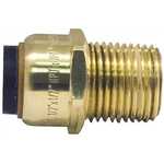 Plumbing 422029BB,  Premier Push-Fit Male Adapter